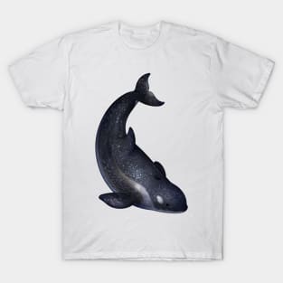 Cozy Cetona Orca T-Shirt